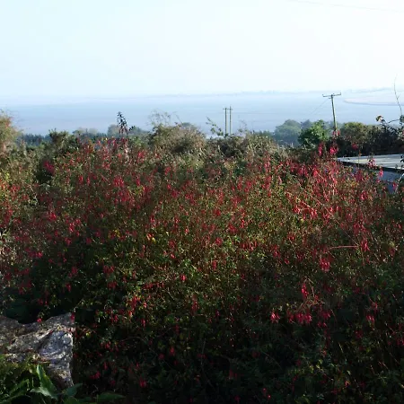 Bed & Breakfast Ocean View