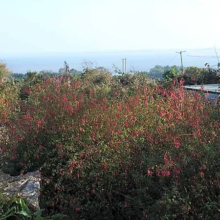 Bed & Breakfast Ocean View Wexford