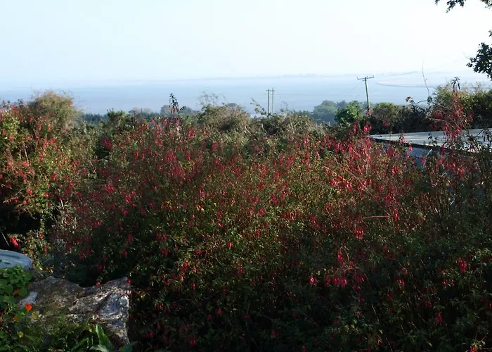 לינה וארוחת בוקר Ocean View